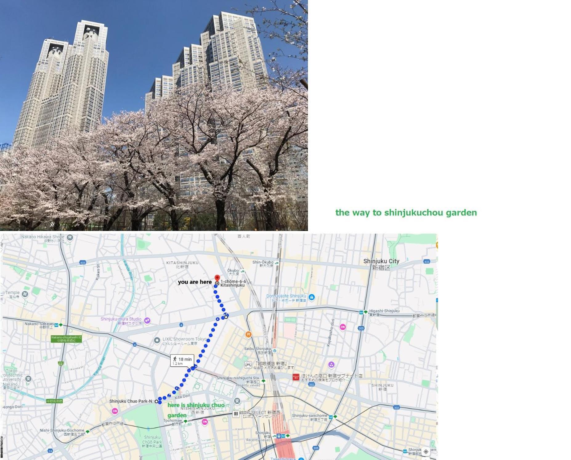 大久保駅から４分、貸切、韓国ダウン至近、新宿/歌舞伎町に徒歩圏内 、단독사용민박 Токіо Екстер'єр фото